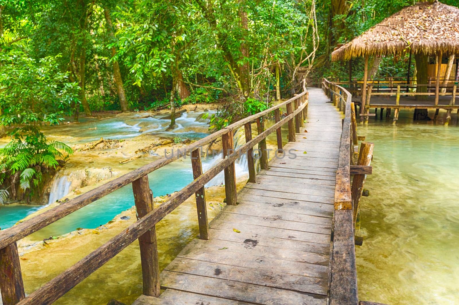 Bridge on the way to Tat Sae Waterfalls. Beautiful landscape. Luang Prabang. Laos.