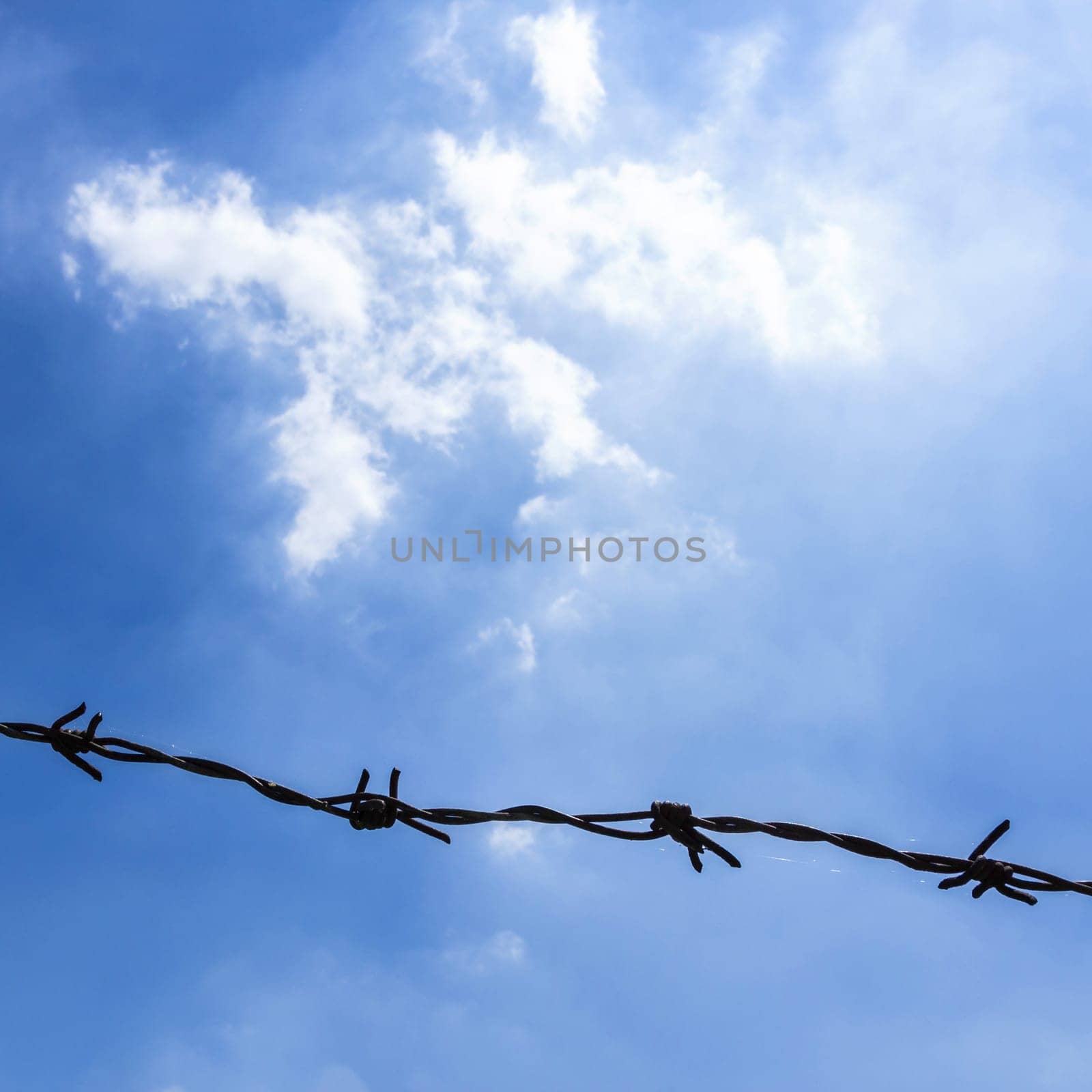 Barbed wire on fence with blue sky to feel worrying