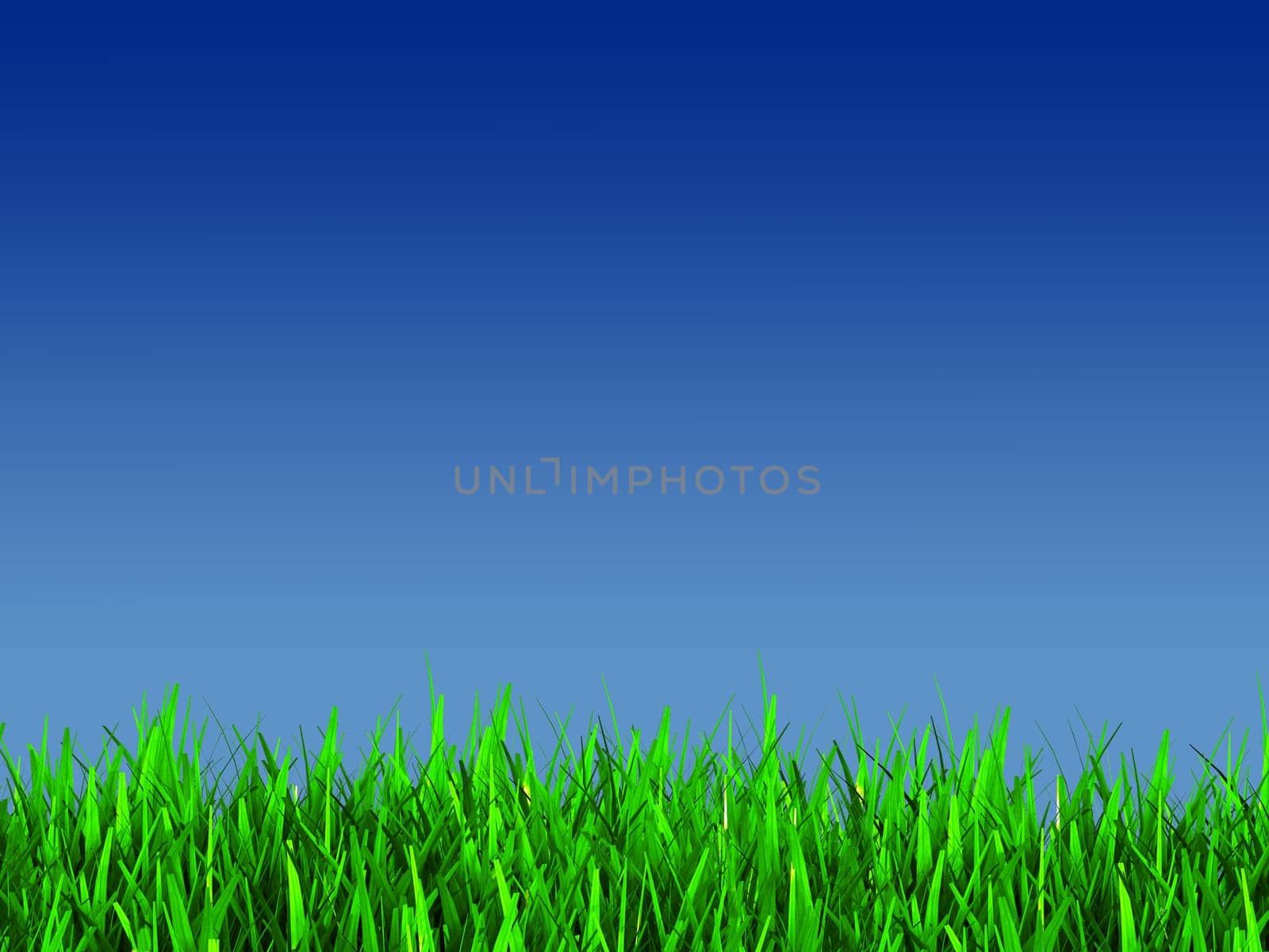 green grass iand blue sky