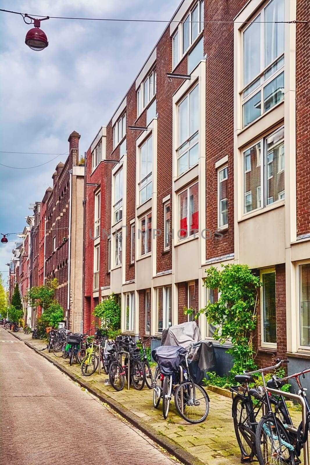 Amsterdam Street with Bicycles on the Sidewalk, Netherlands
