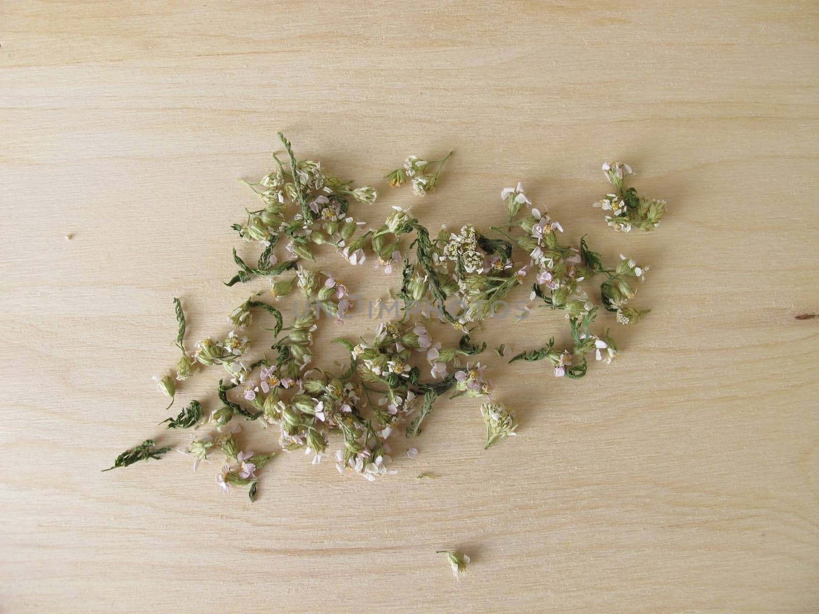Dried yarrow,Achillea millefolium