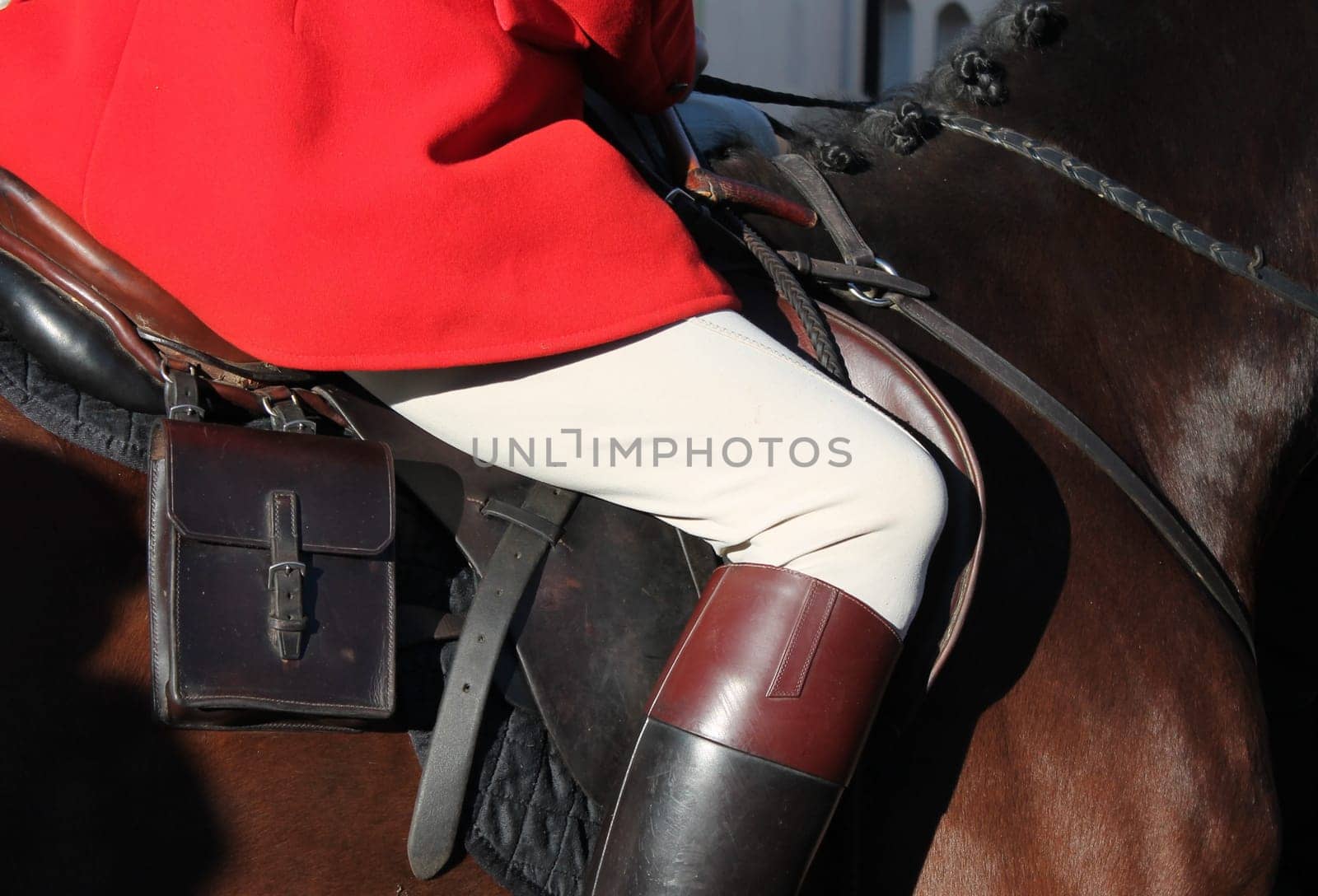 Huntsman ready for the fox hunt red coats