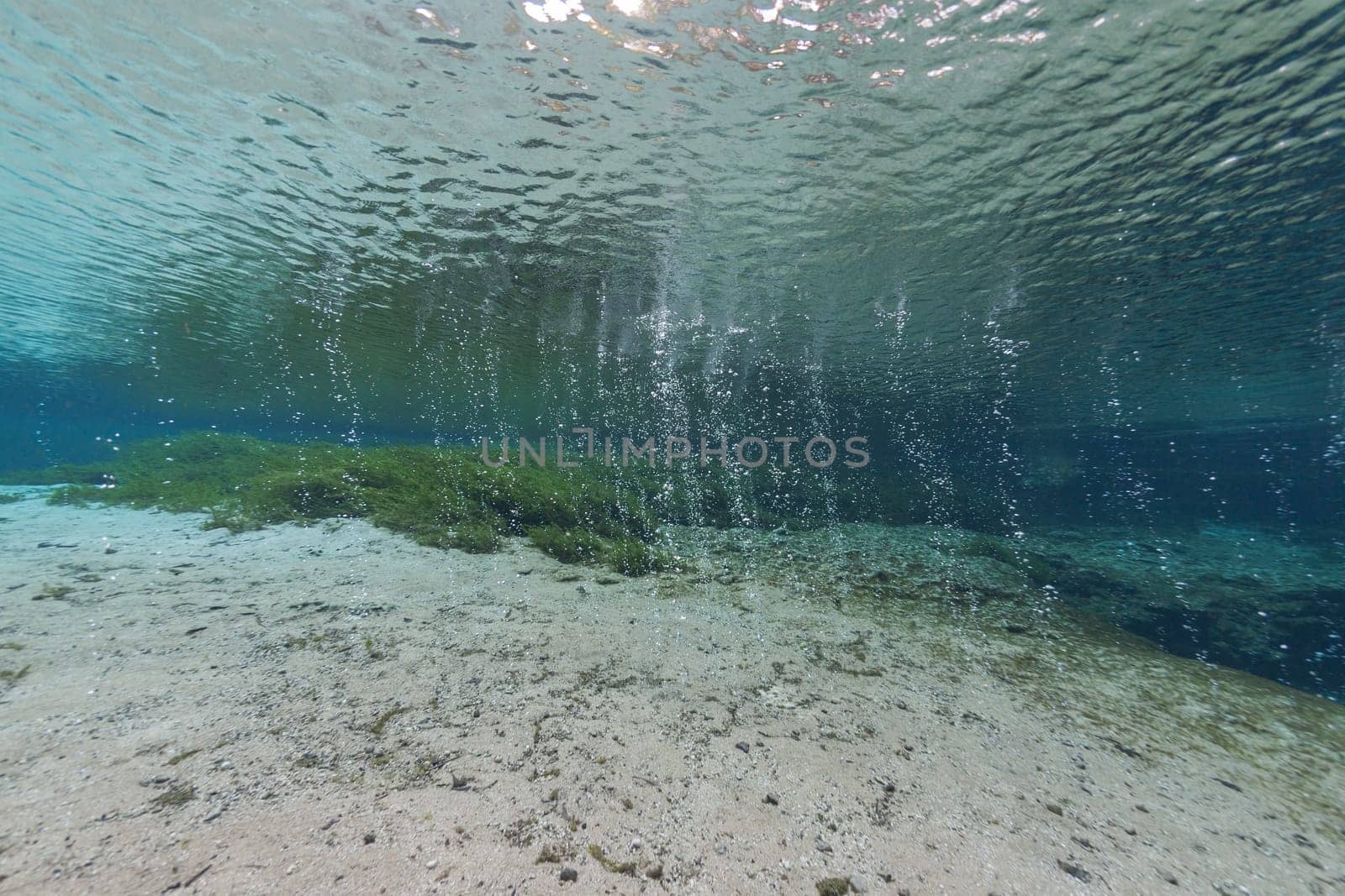 divers underwater caves diving Ginnie Springs Florida USA