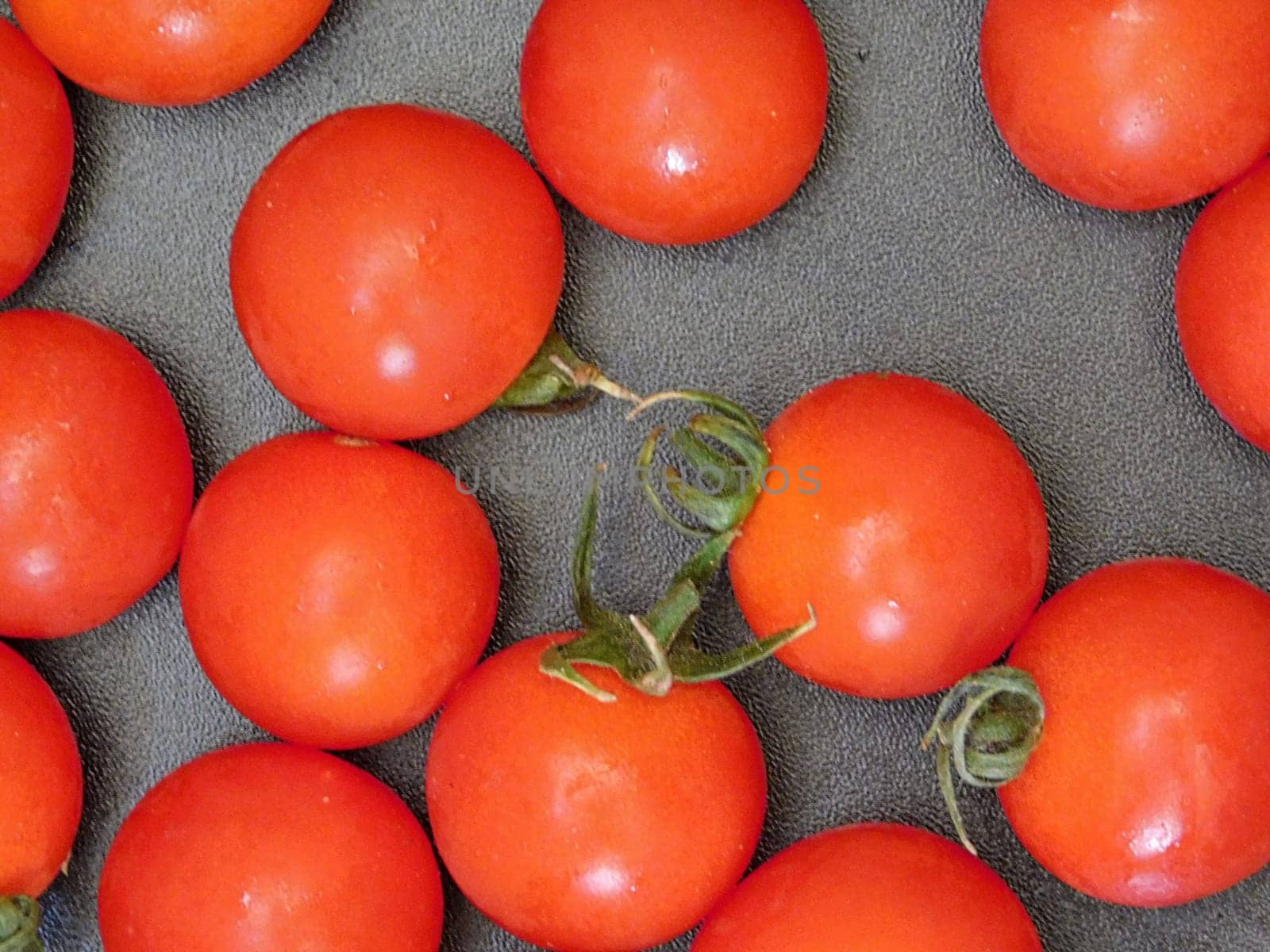 tomatoes