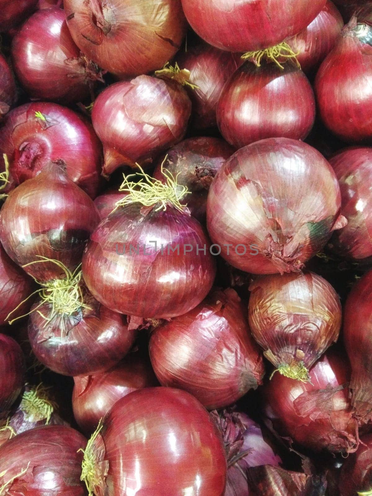 onions