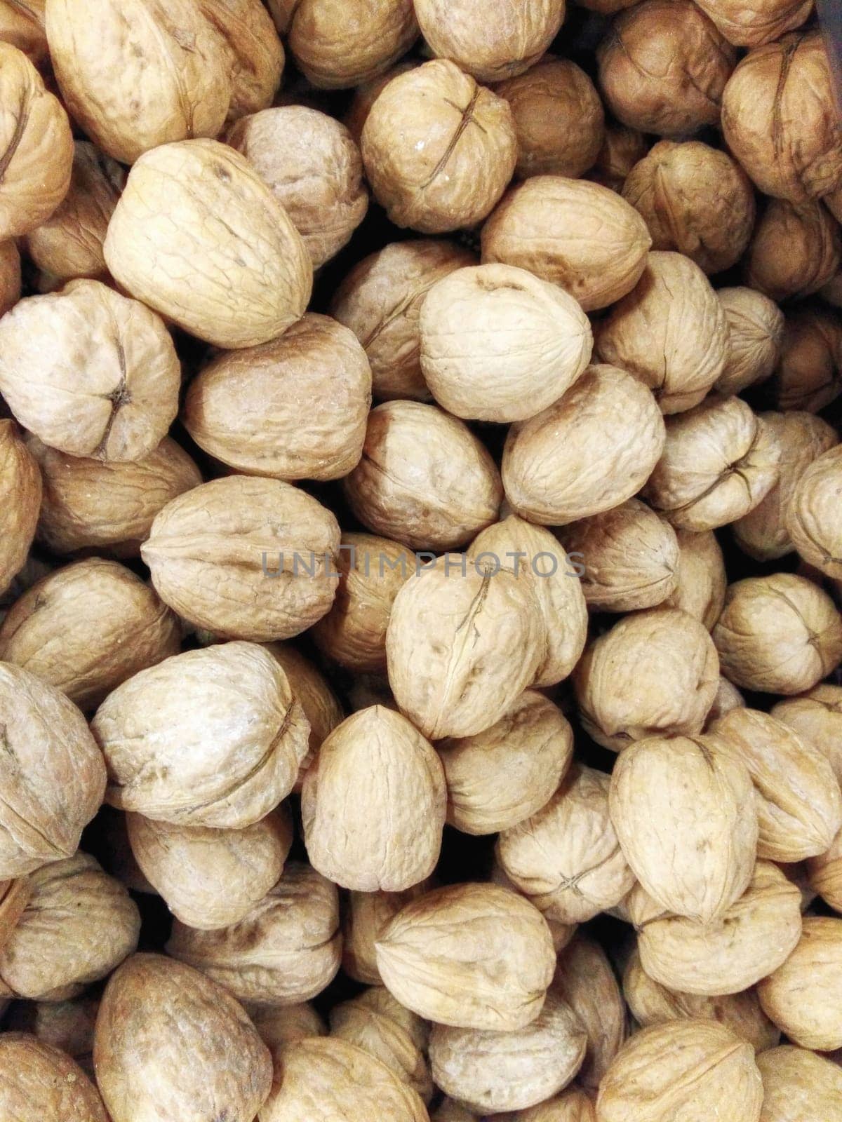 walnuts with shell