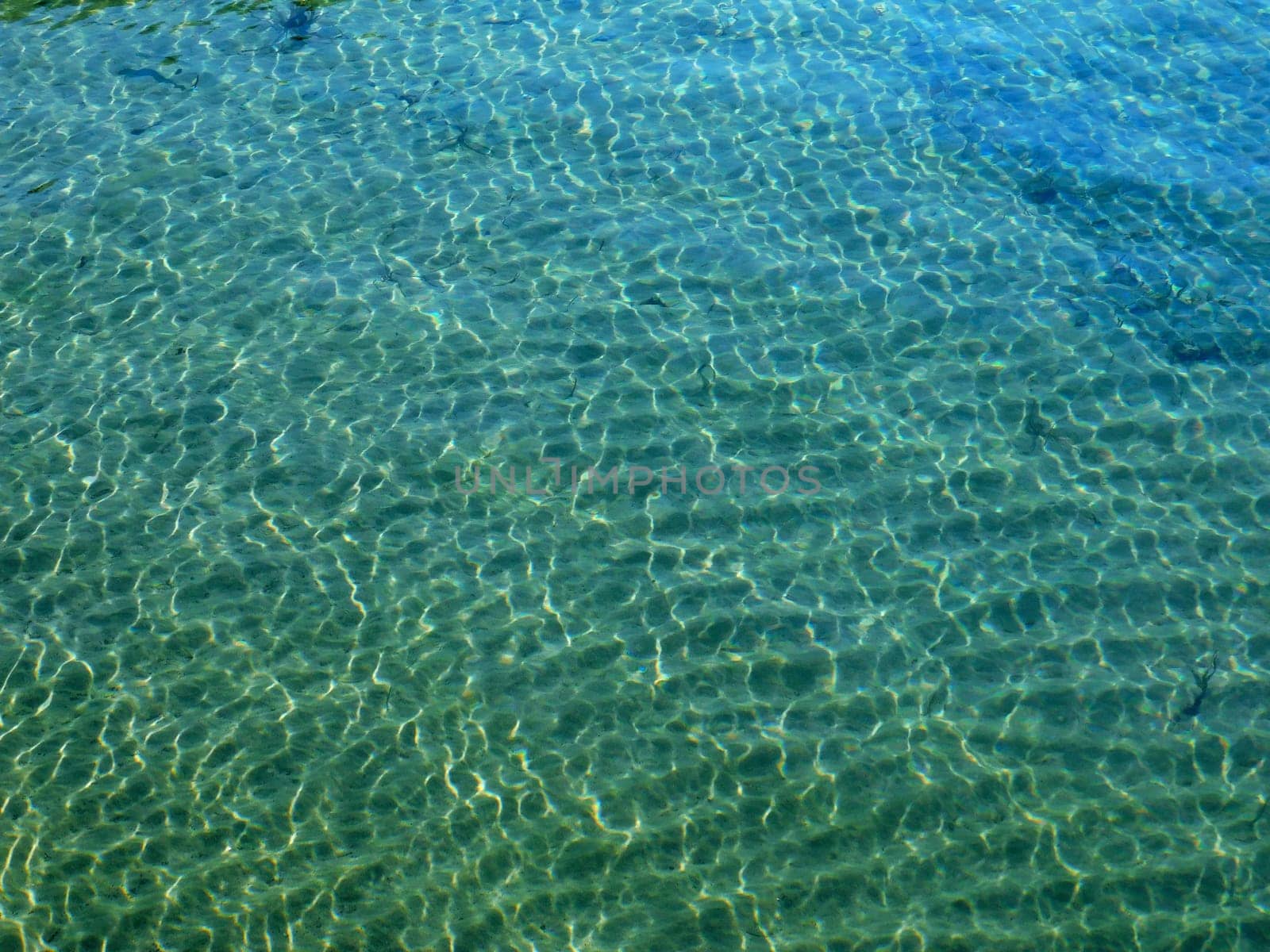 sea