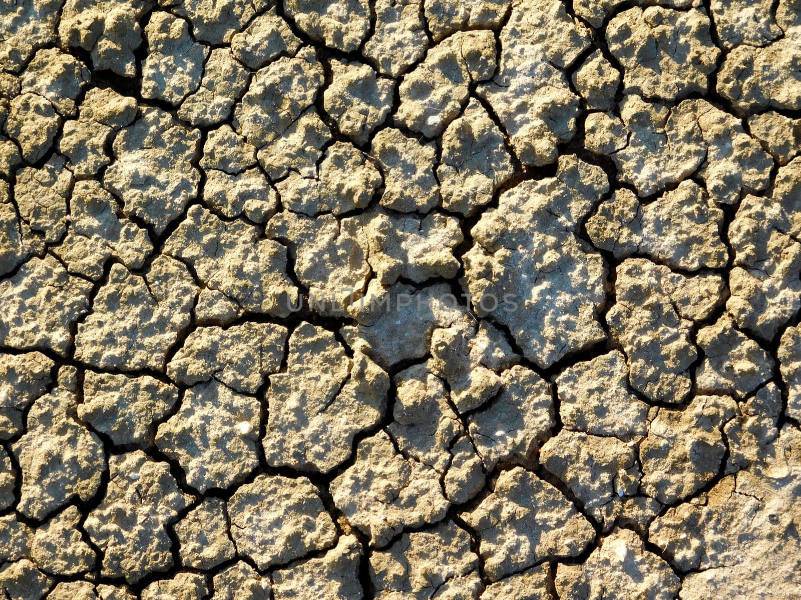 dry land texture
