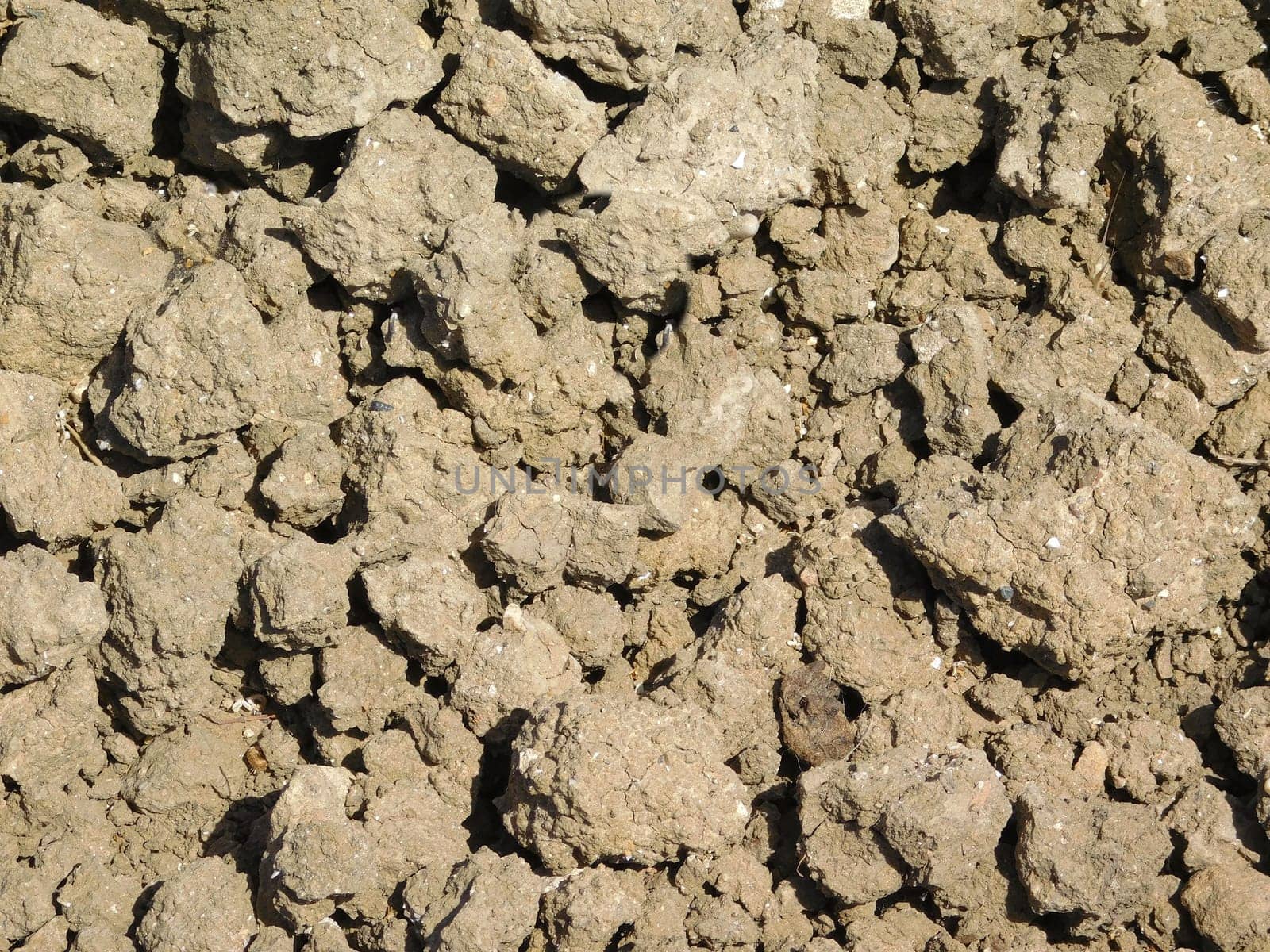 earth texture
