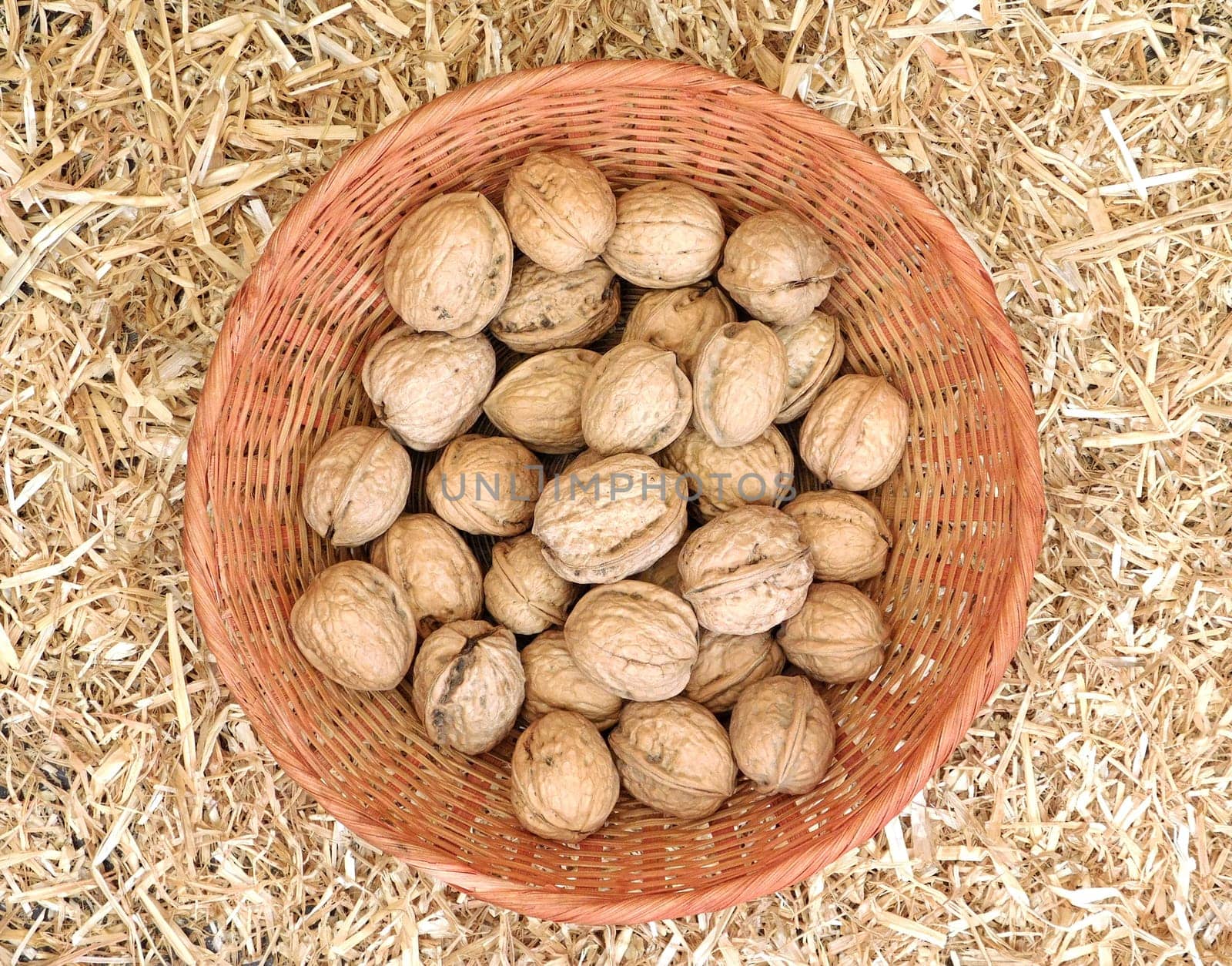 walnuts with shell