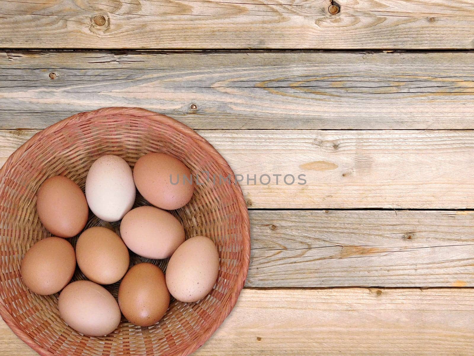 eggs