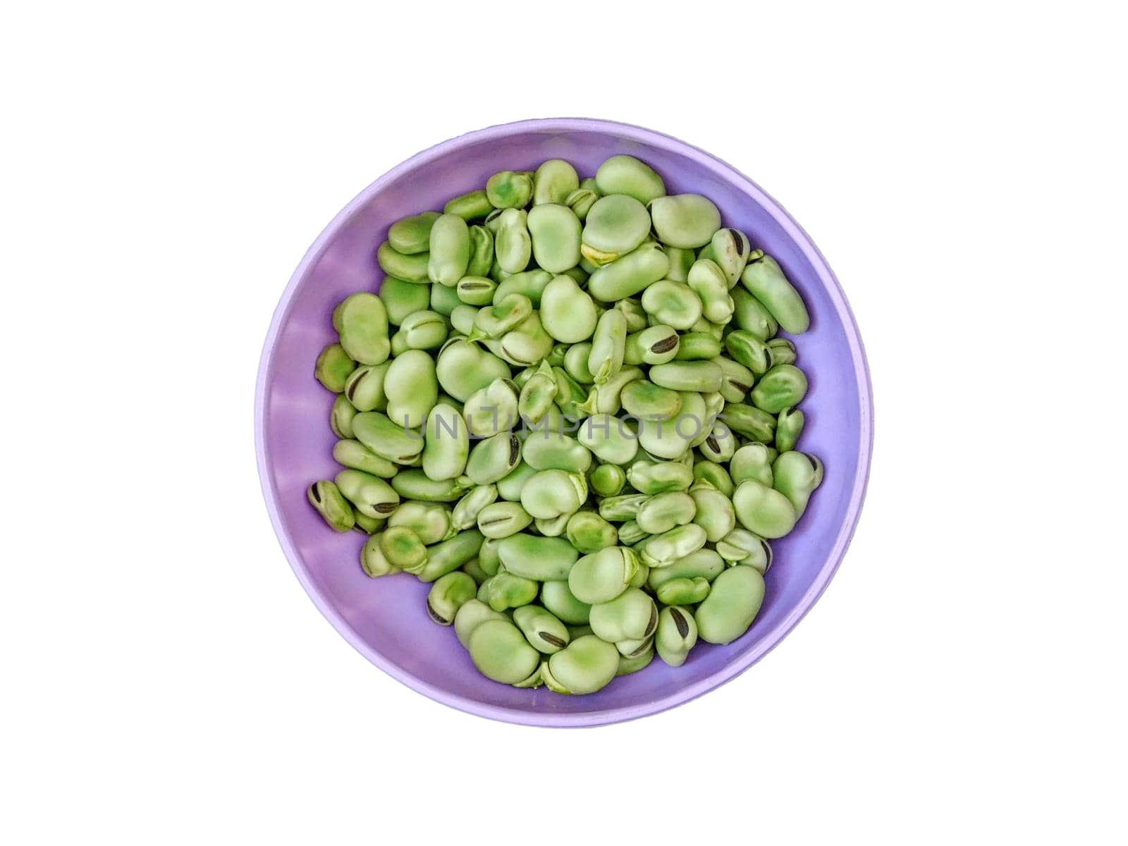 broad bean