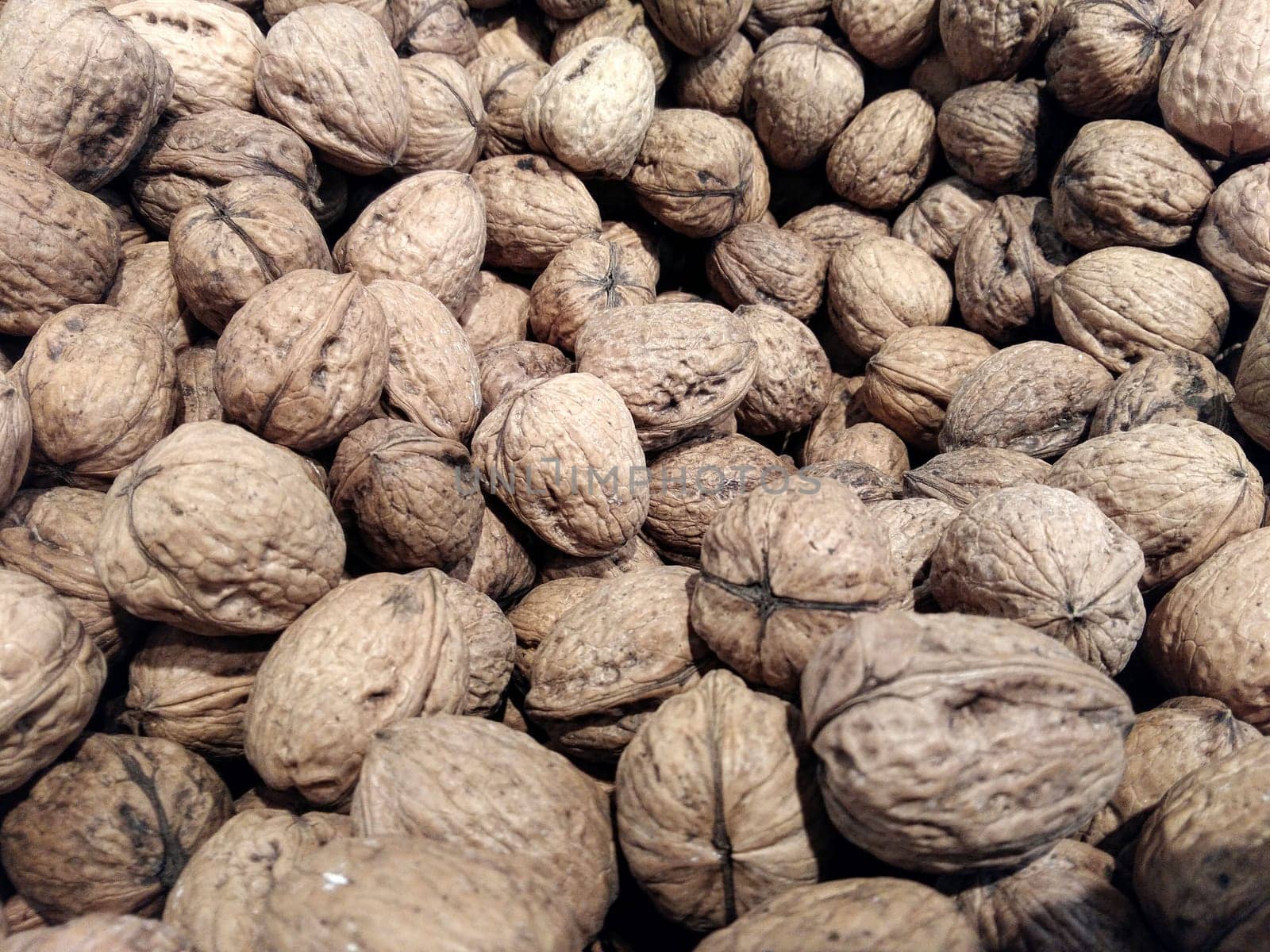 walnuts with shell