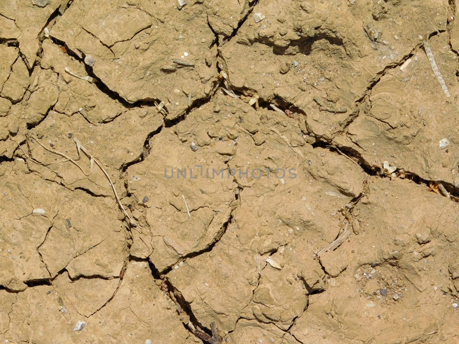 dry land texture