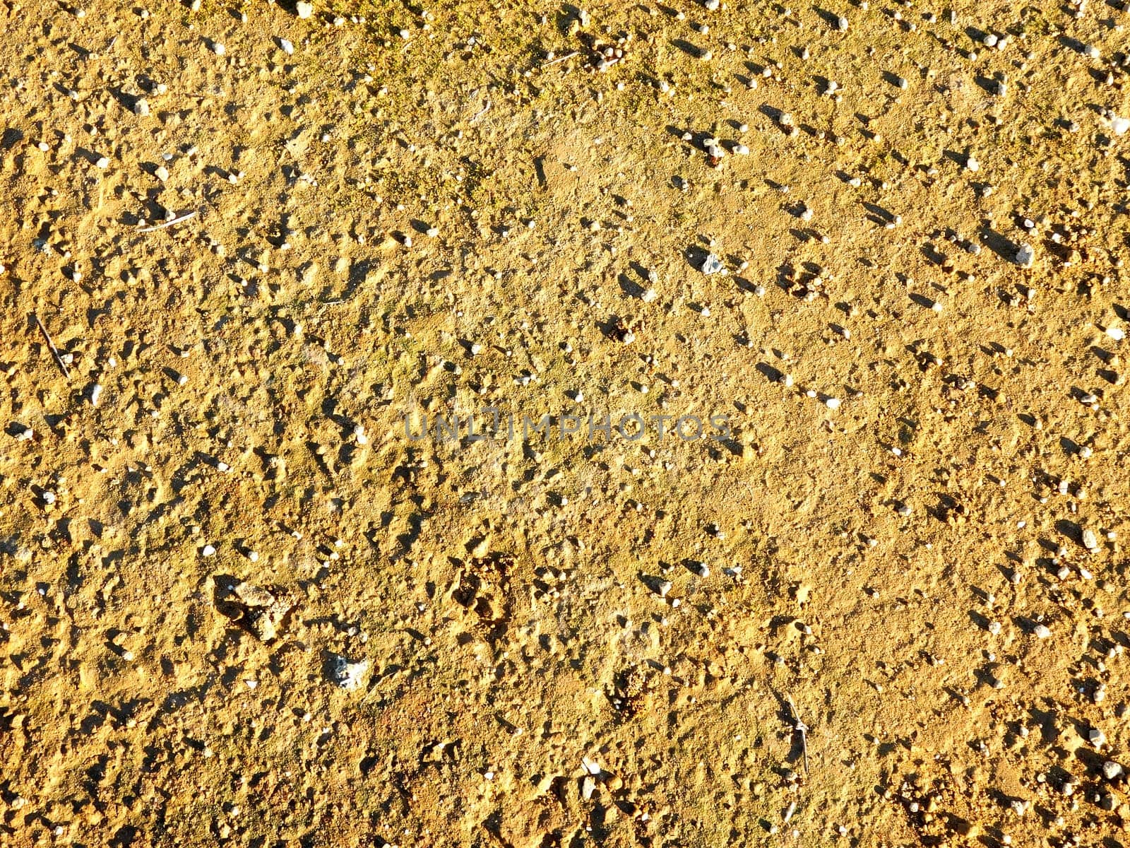 sand texture