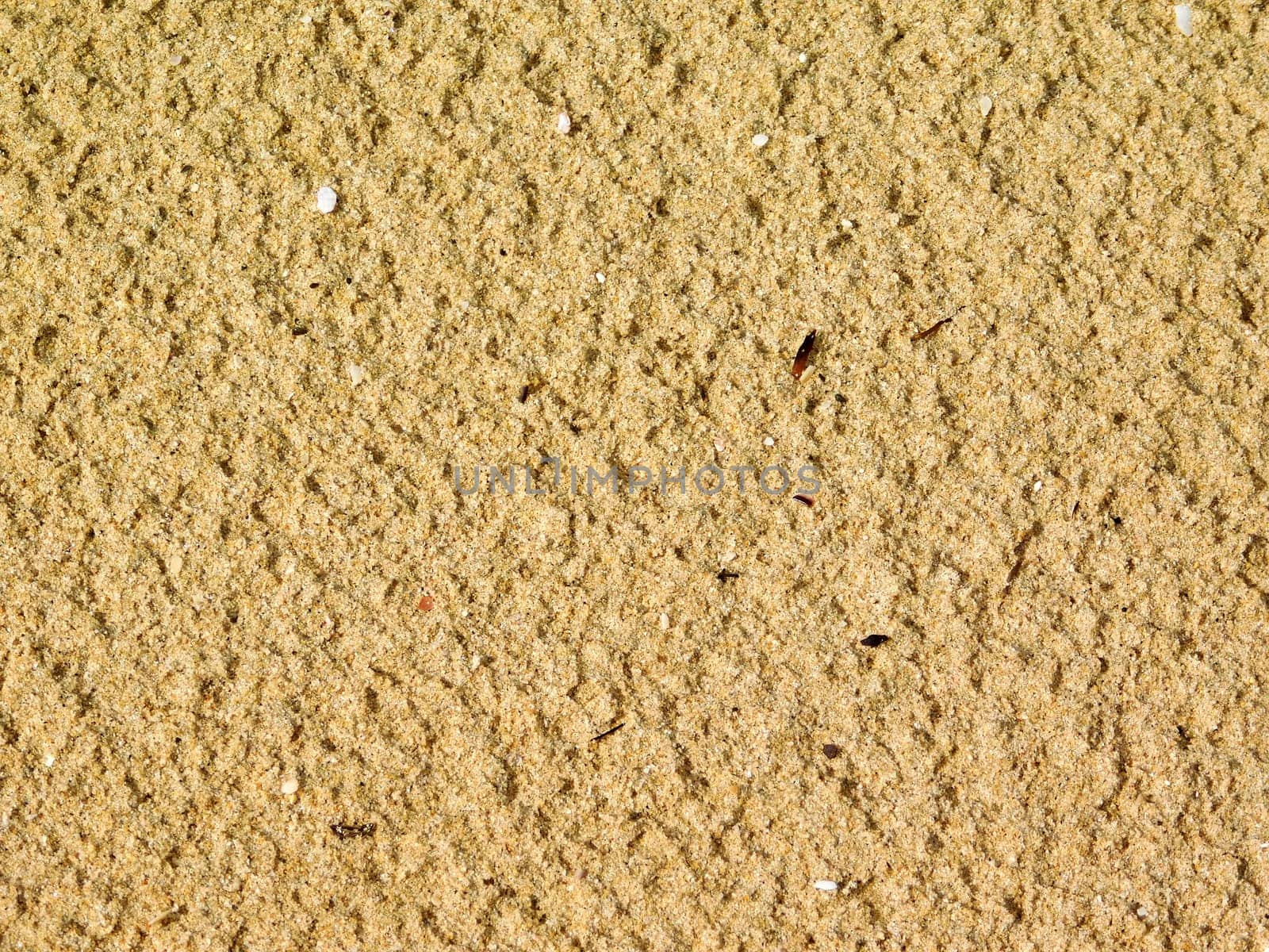 sand texture