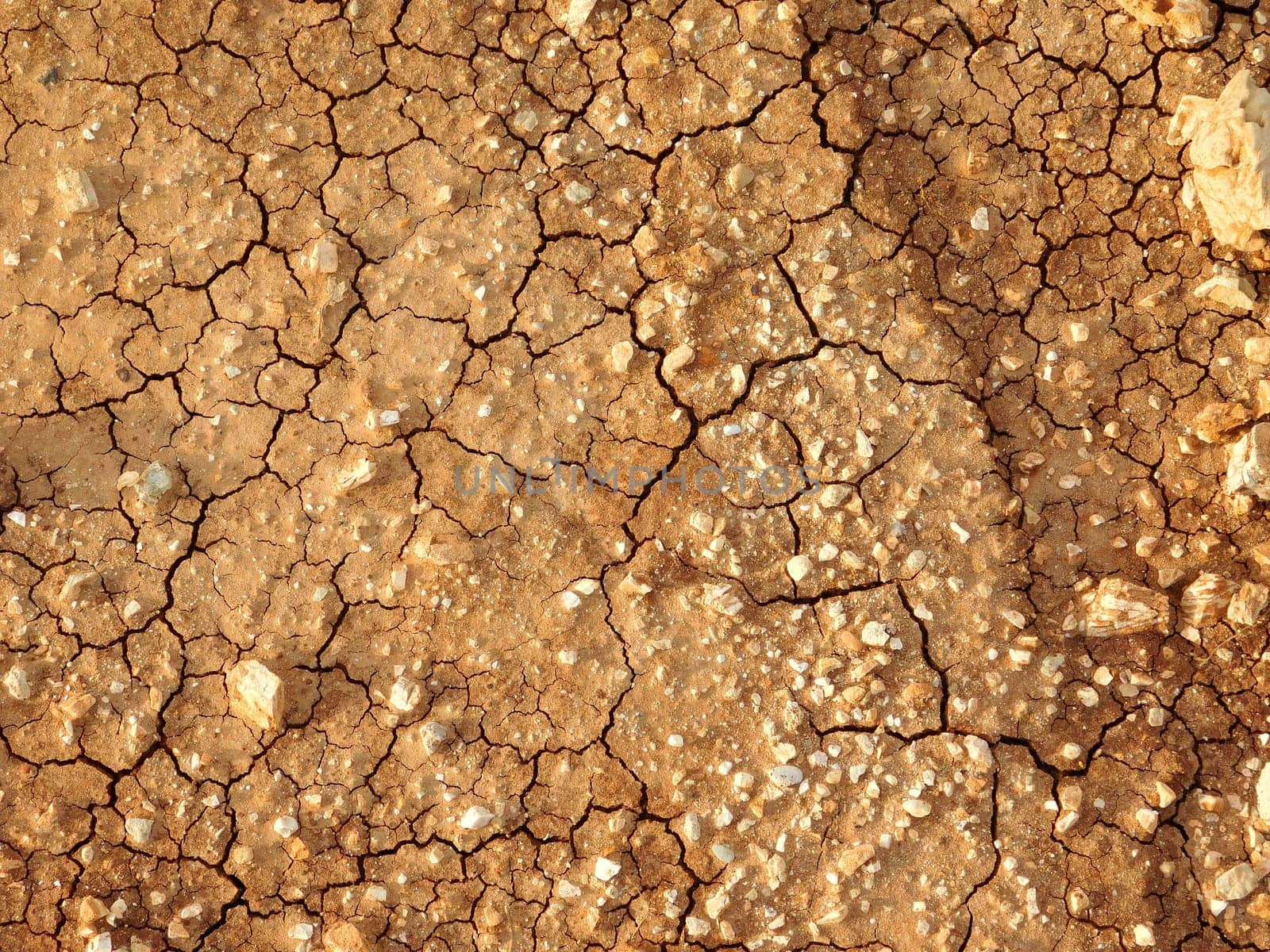 dry land texture