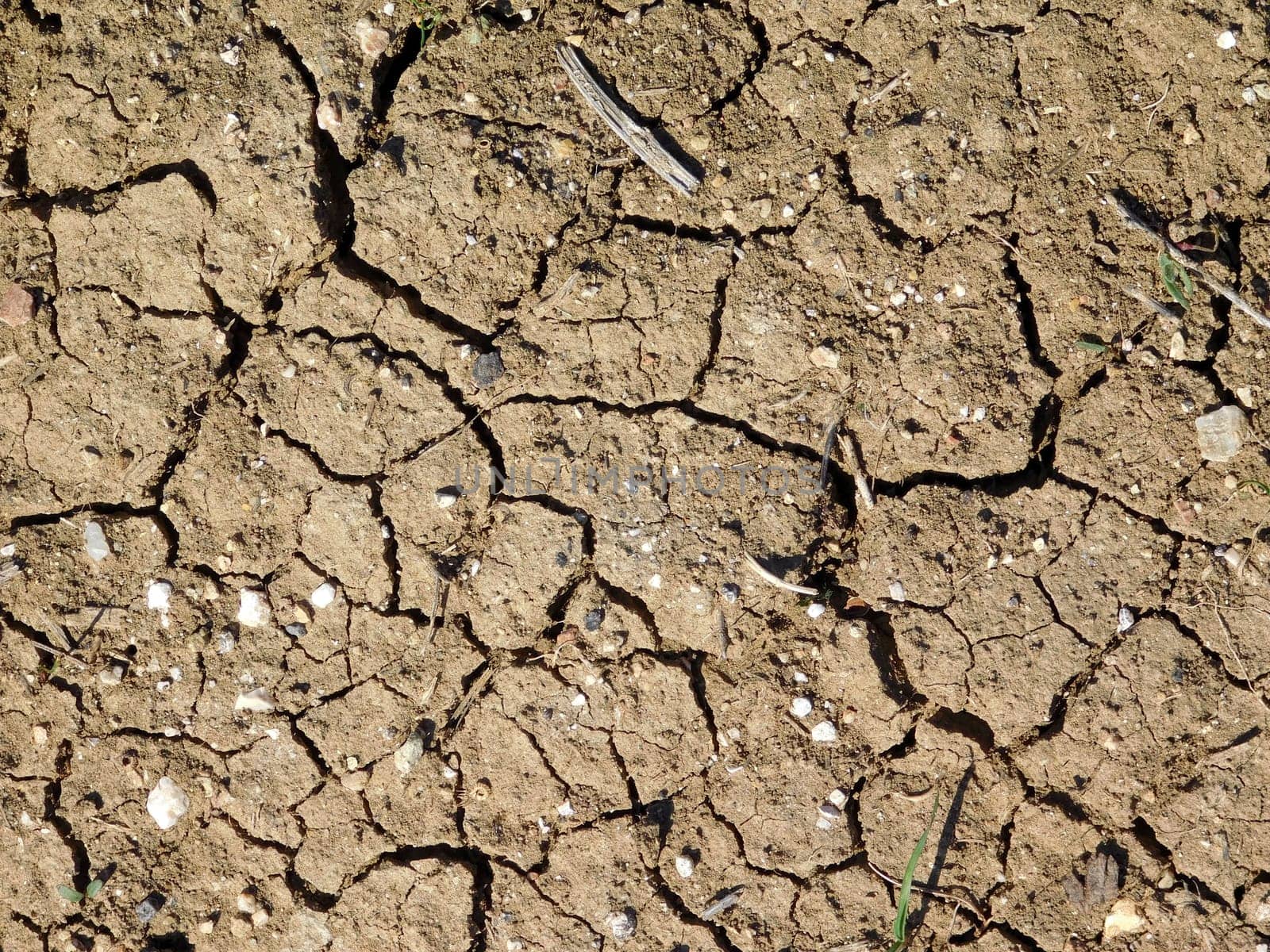 dry land texture