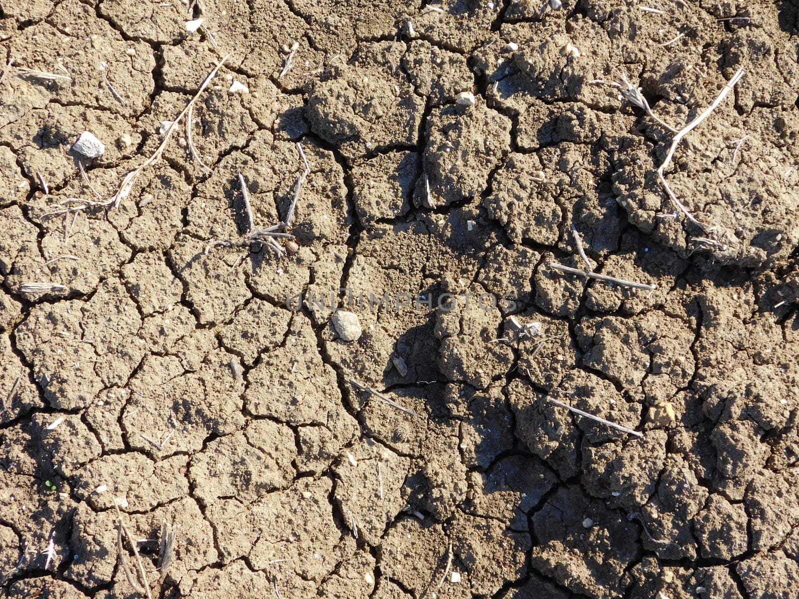 dry land texture