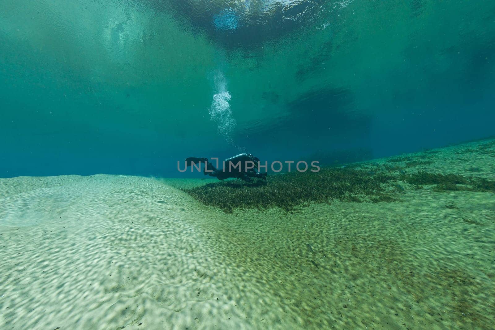 divers underwater caves diving Florida Jackson Blue cave USA