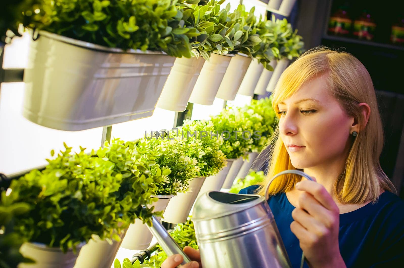 Woman pours from a watering green plants in pots in the room, hanging from the wall with lighting in a row. beautiful girl holding a watering can with water
