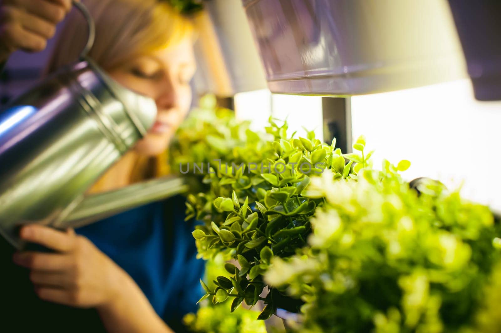 Woman pours from a watering green plants in pots in the room, hanging from the wall with lighting in a row. beautiful girl holding a watering can with water