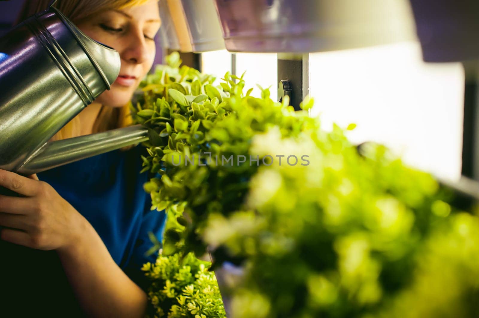 Woman pours from a watering green plants in pots in the room, hanging from the wall with lighting in a row. beautiful girl holding a watering can with water