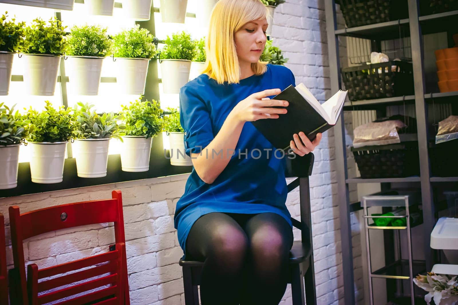 blonde woman in a dress sits on a chair with a book in hand, against the backdrop of houseplants. engaged in reading