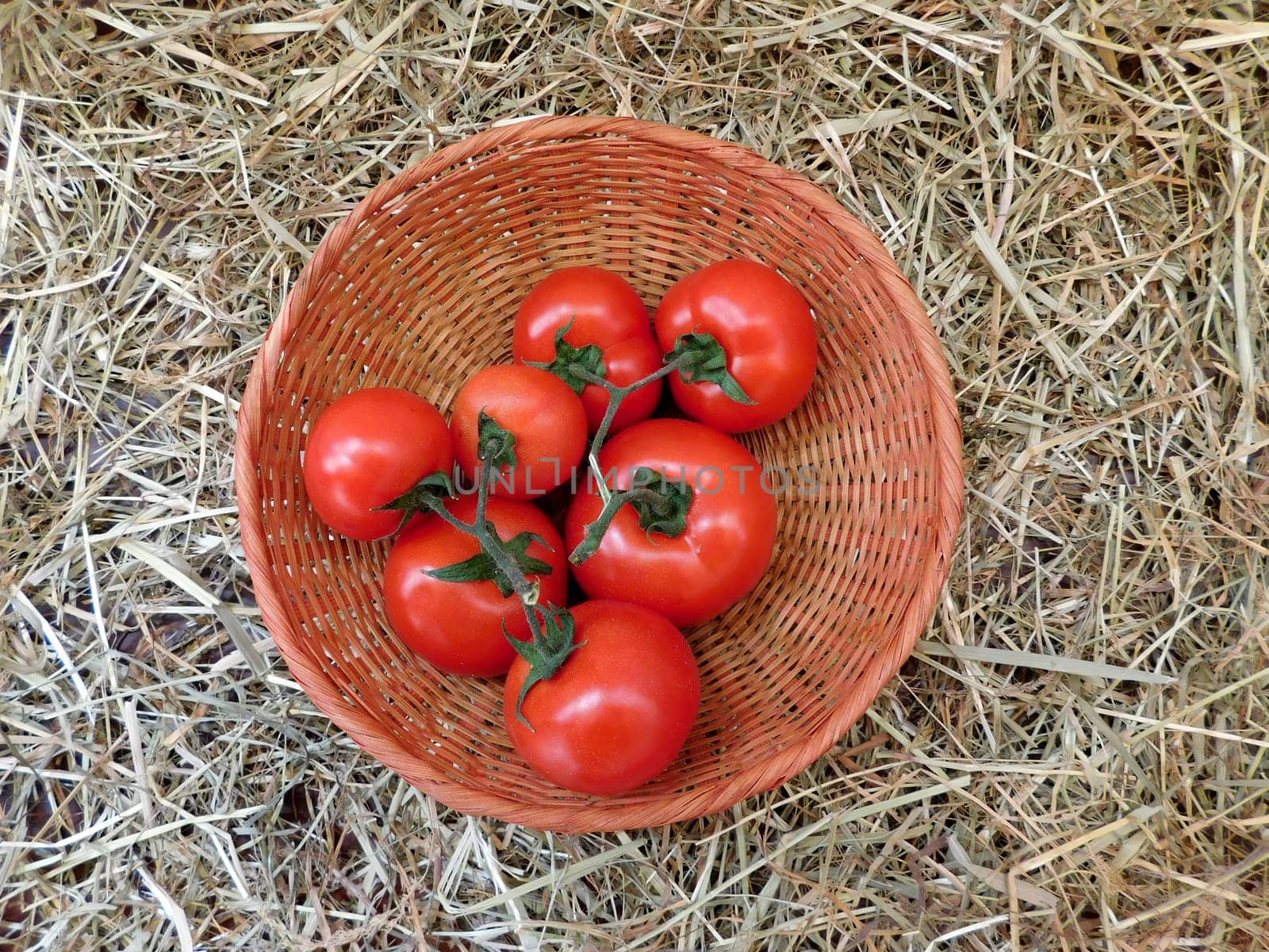 tomato