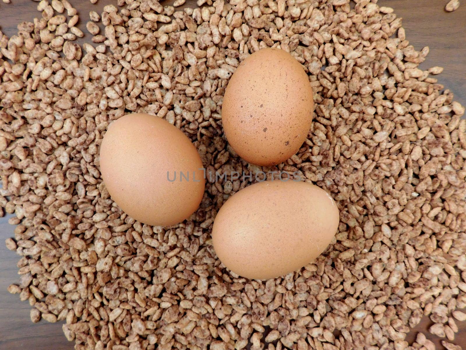 eggs
