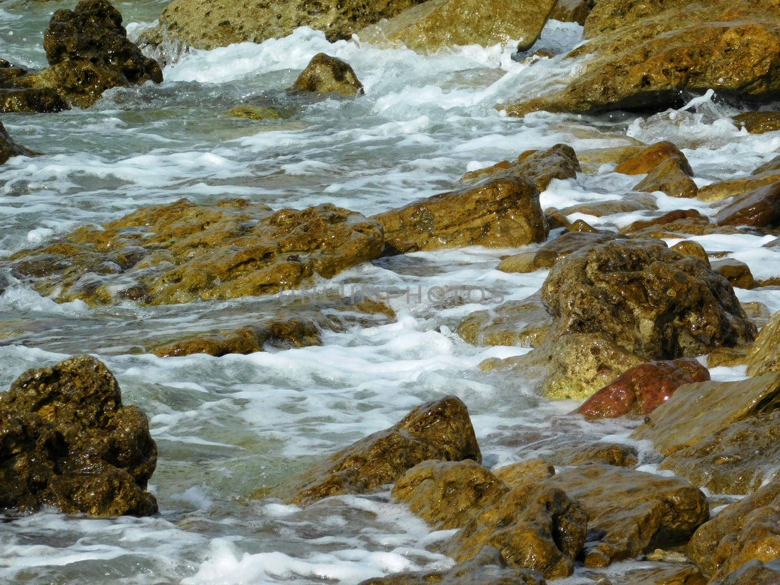 sea