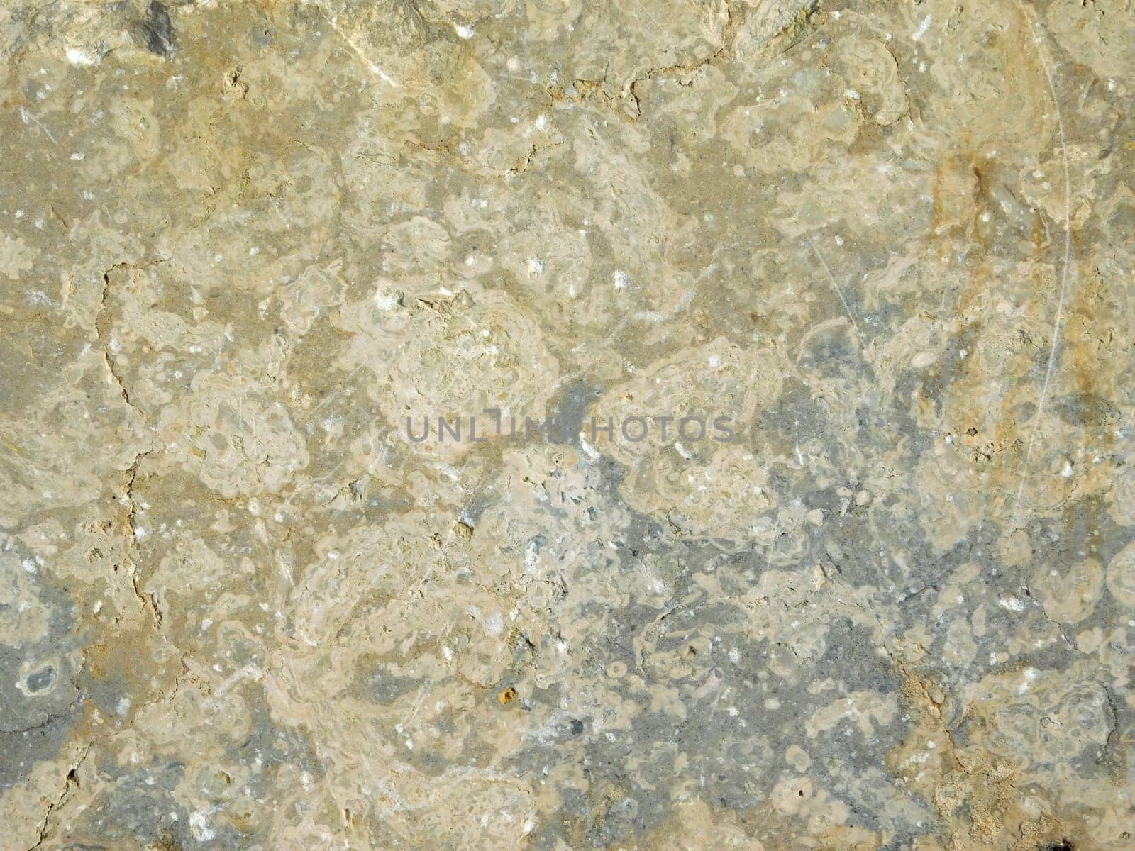 marble texture