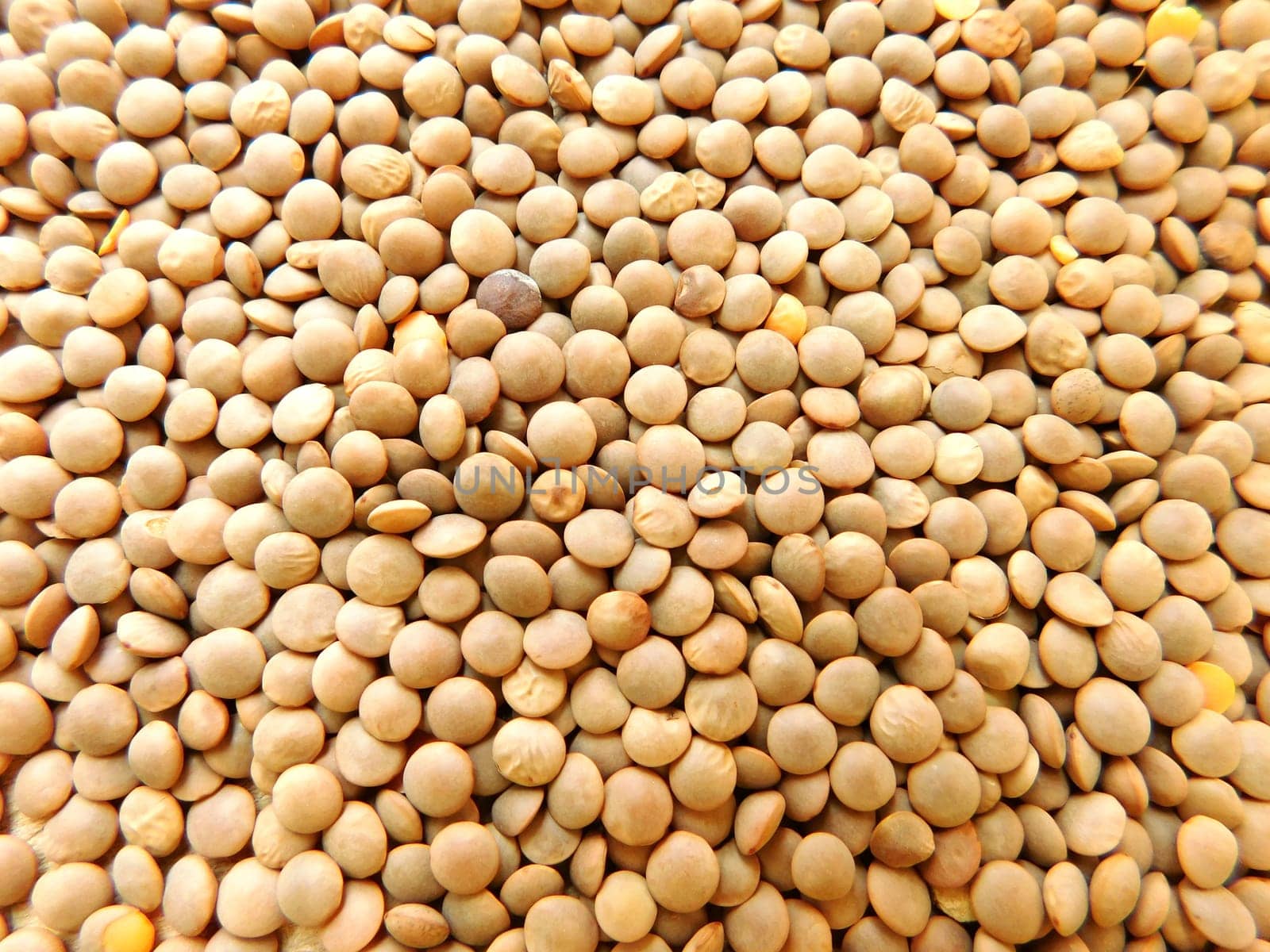 lentil texture
