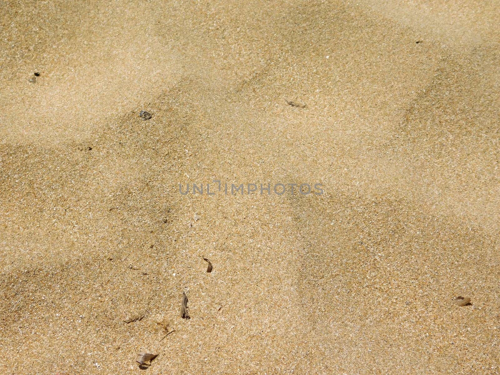 sand texture