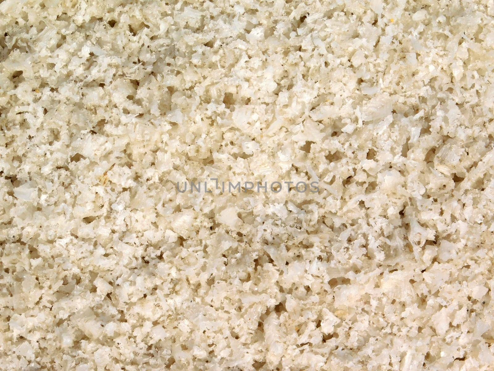 salt texture