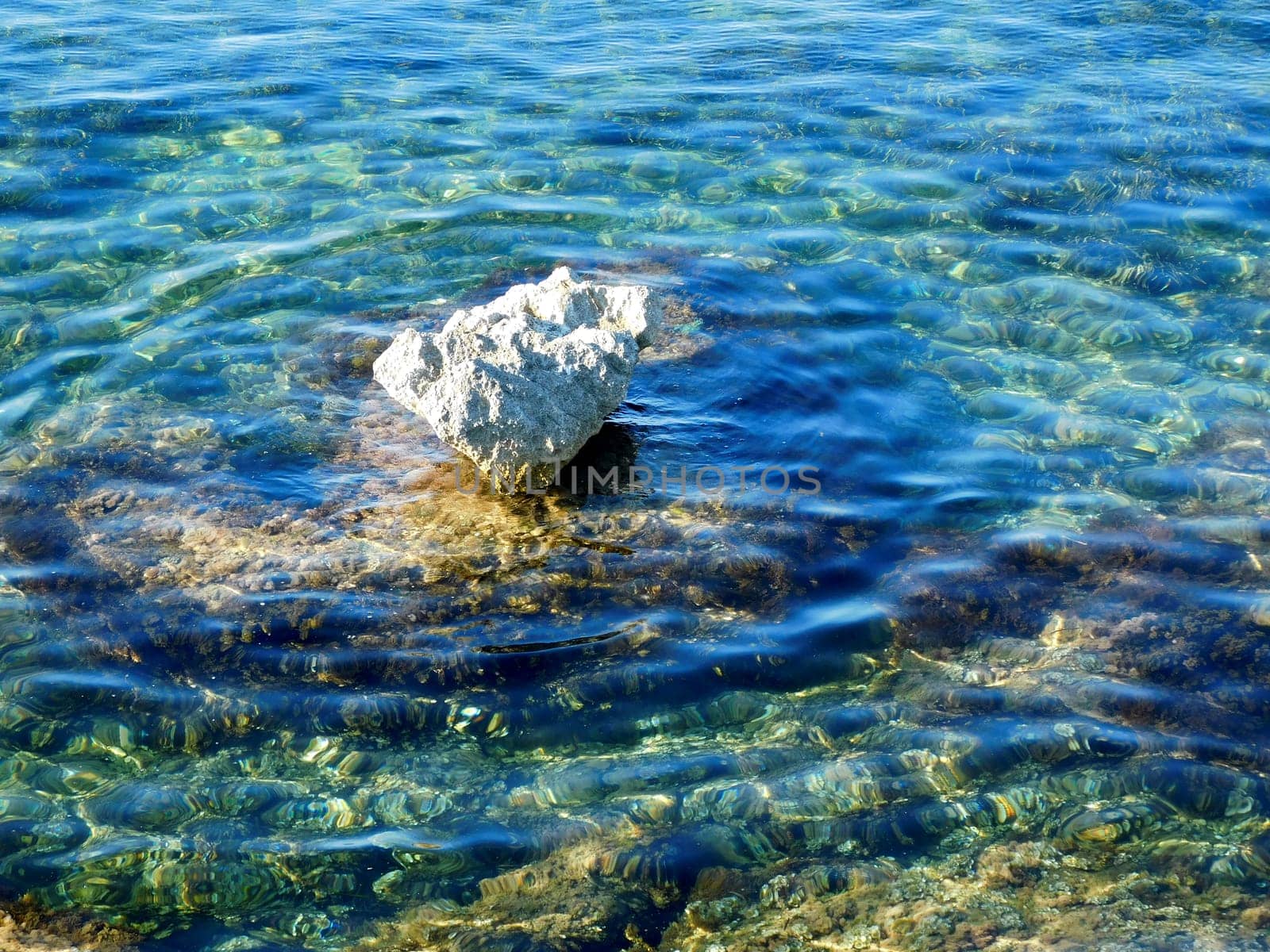 sea