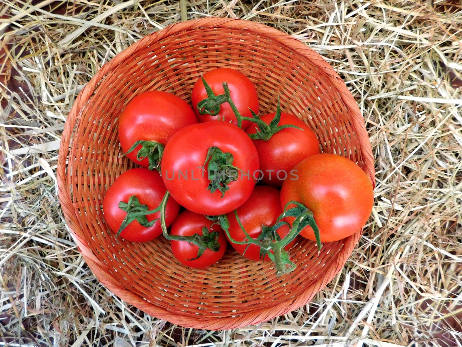 tomato