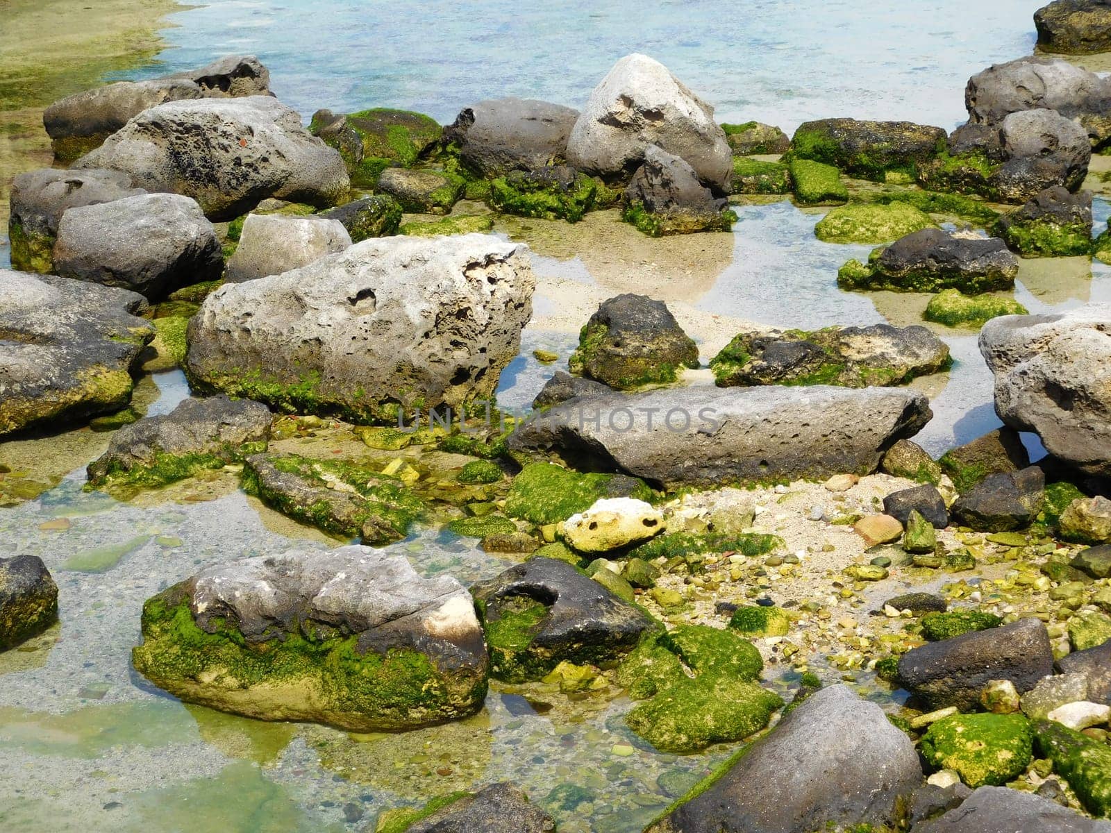 sea