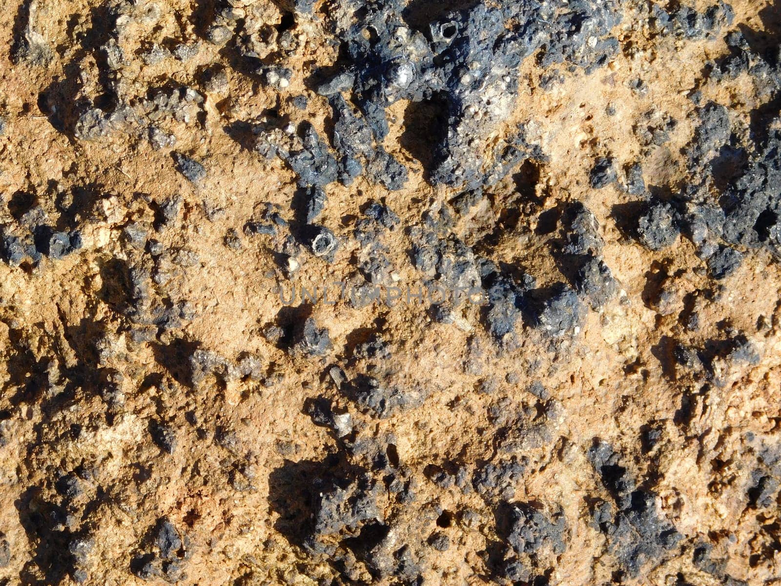 stone texture