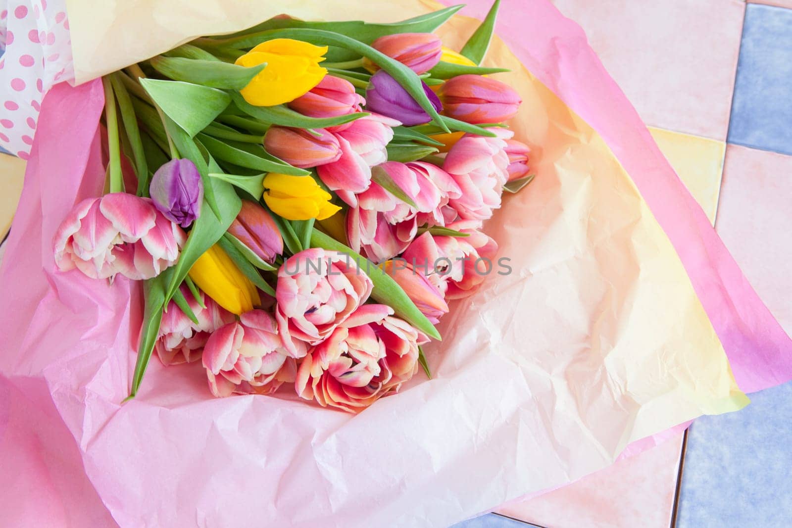 Fresh colorful tulips in tissue paper