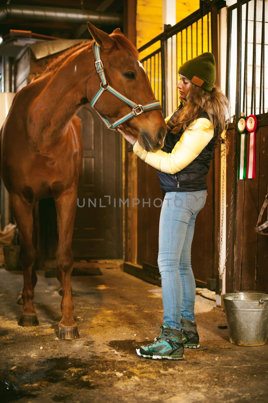 Female rider trains the horse out of the stables