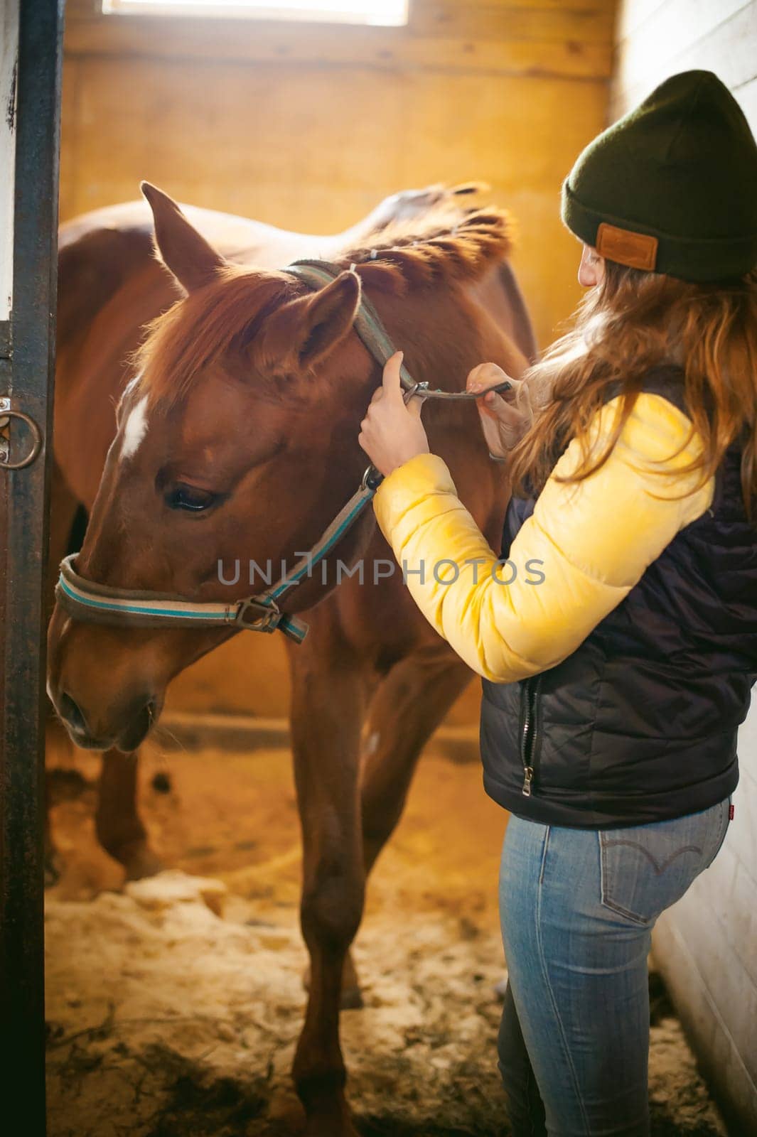 Female rider trains the horse out of the stables