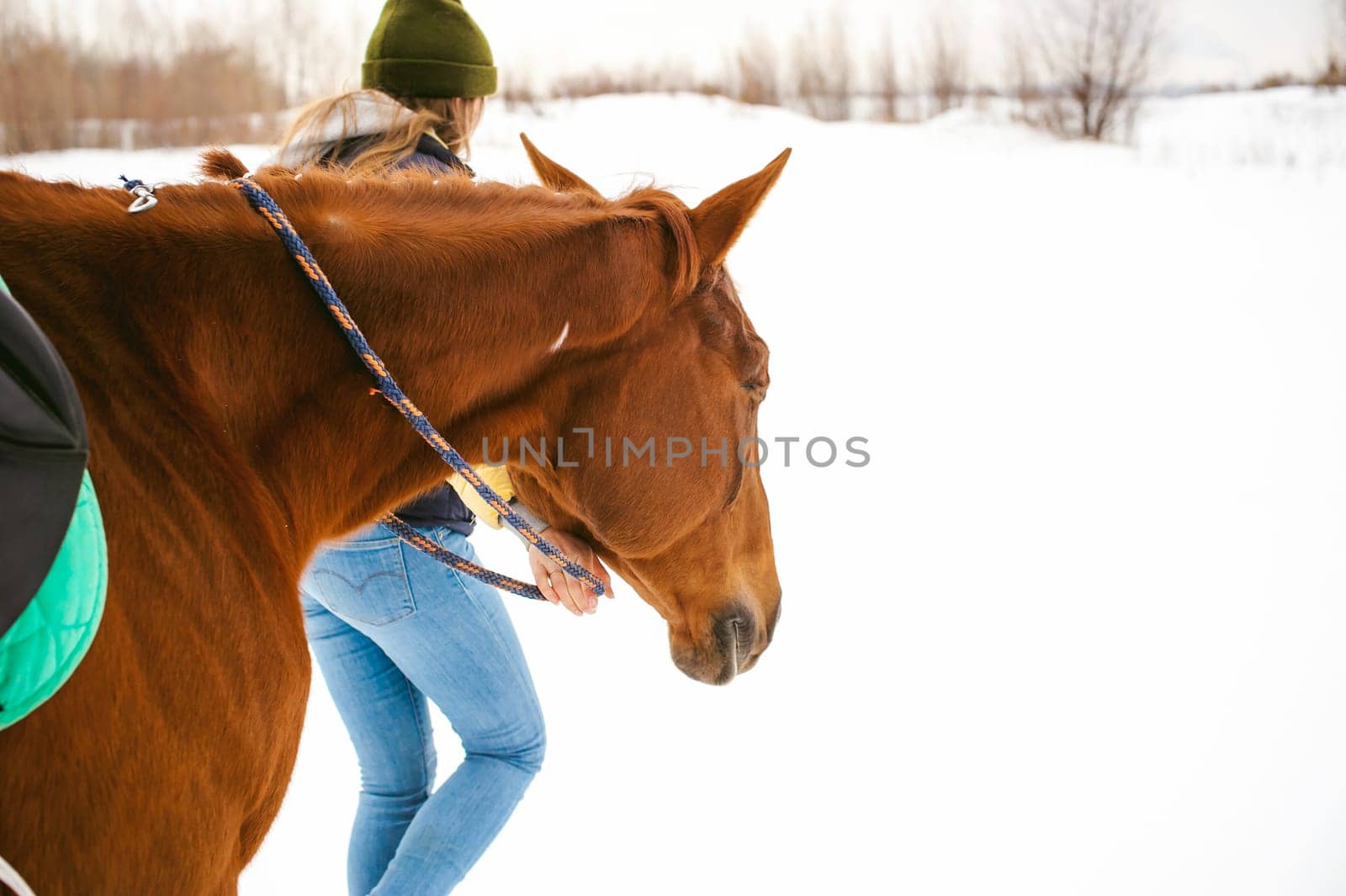 Female rider and horse in the open air. portrait of a beautiful young woman with her stallion, outdoors in winter. Girl leads the animal beside him