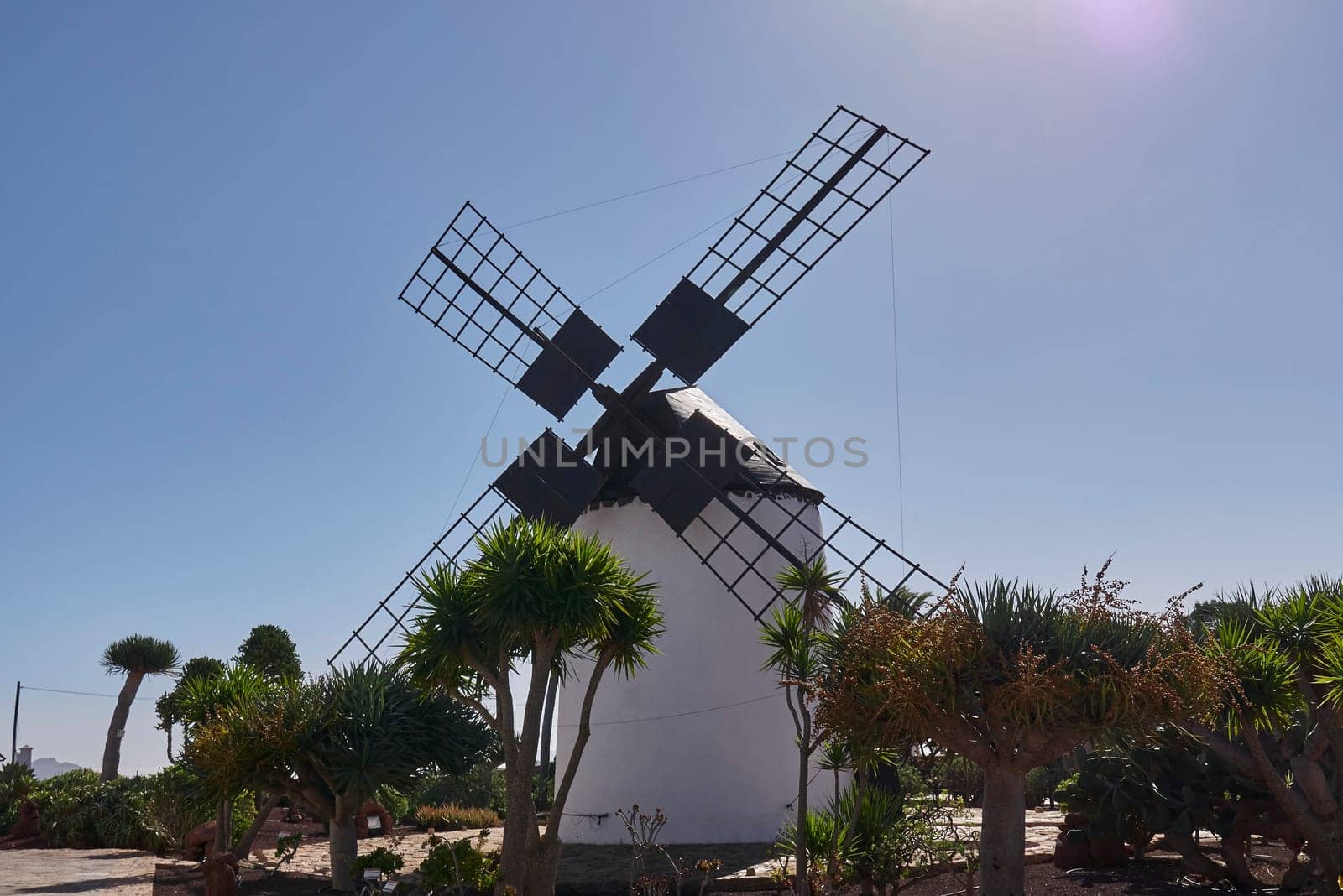 windmills on fuerteventura