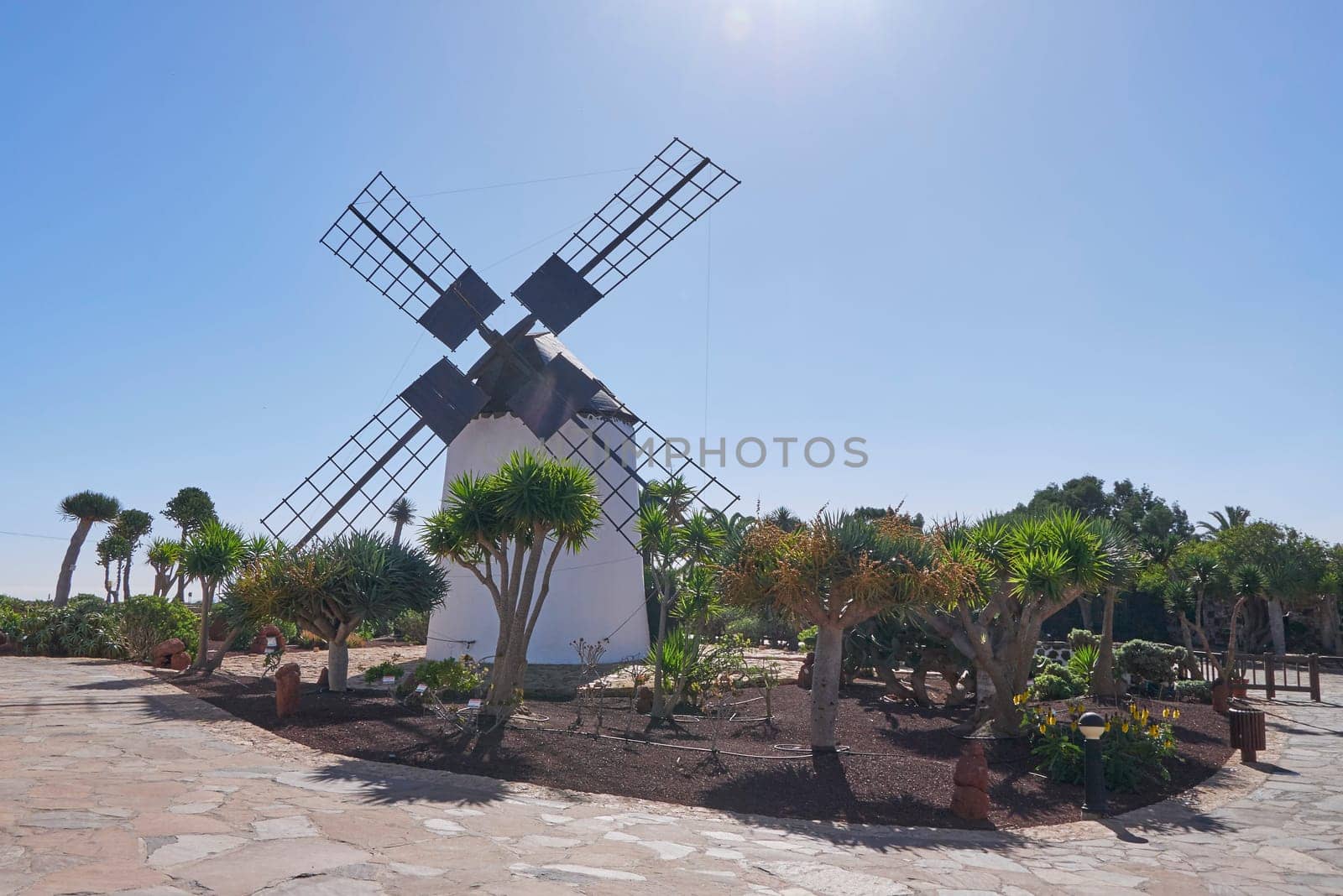 windmills on fuerteventura