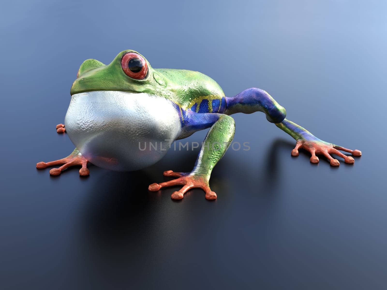 Realistic 3D rendering of a green, blue and orange colored red-eyed tree frog, Agalychnis callidryas, sitting on a reflective surface with its inflated vocal sac showing.