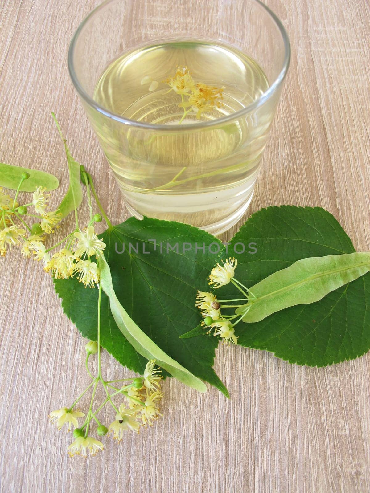 Homemade lemonade with fresh lime blossoms