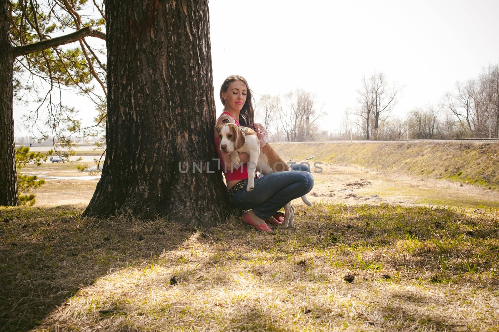 Young pet dog breeds beagle walking in park outdoors. woman carefully walks puppy, plays and tranitsiruetsya, sits with pet in an embrace under tree on grass in woods in clearing