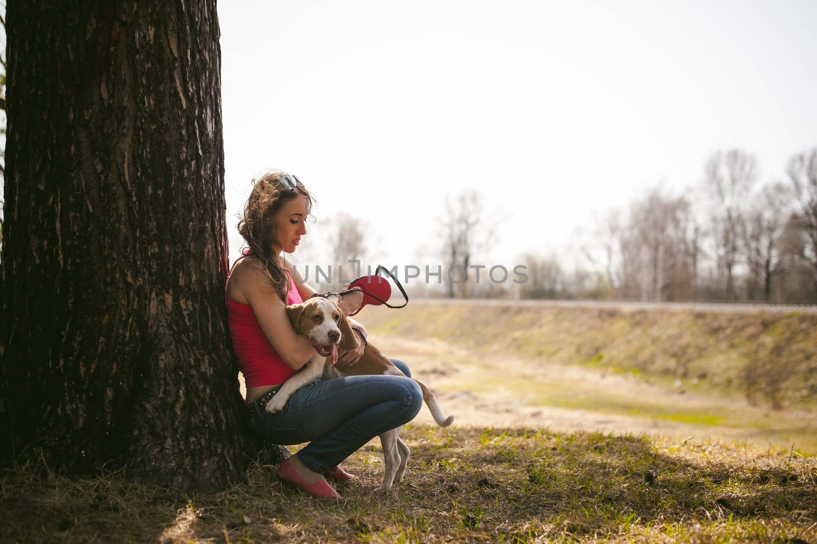 Young pet dog breeds beagle walking in park outdoors. woman carefully walks puppy, plays and tranitsiruetsya, sits with pet in an embrace under tree on grass in woods in clearing