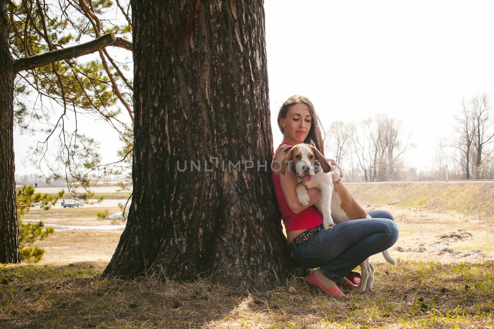 Young pet dog breeds beagle walking in park outdoors. woman carefully walks puppy, plays and tranitsiruetsya, sits with pet in an embrace under tree on grass in woods in clearing